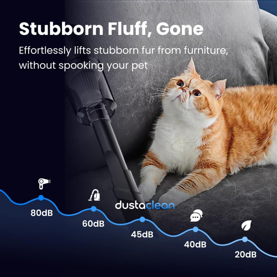 DustaClean image